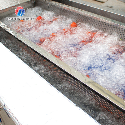 240KG Fruit and vegetable washing machine Vegetable vortex bubble washing machine Commercial ozone washing machine
