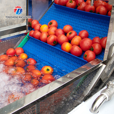 240KG Supply bubble cleaning machine multi-functional vegetable washing machine vegetable leaves and fruits cleaning