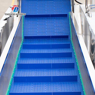 240KG Washing machine Fruit and vegetable washing machine vegetable cleaning equipment product cleaning equipment