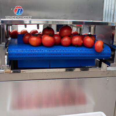 240KG Supply bubble cleaning machine multi-functional vegetable washing machine vegetable leaves and fruits cleaning