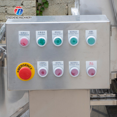 240KG  Fruit and vegetable washing machine automatic cleaning operation line conveyor belt washing machine