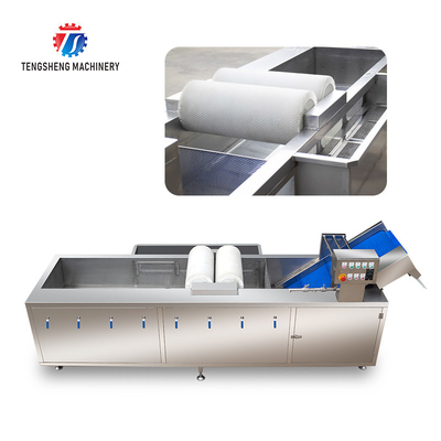 250KG Commercial fruit and vegetable brush cleaning machine air bubble cleaning machine multi-functional washing