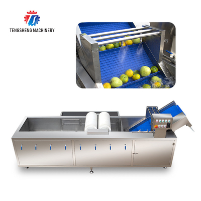 250KG Large vegetable cleaning machine multi-functional stainless steel fruit and vegetable bubble brush cleaning