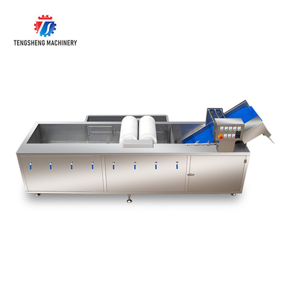250KG Fruit and vegetable automatic roller washing machine Multi-functional vegetable washing machine automatic