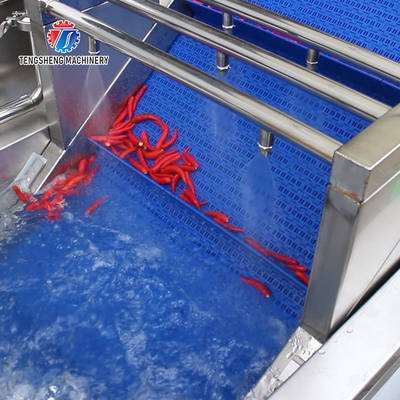 250KG Large vegetable cleaning machine multi-functional stainless steel fruit and vegetable bubble brush cleaning