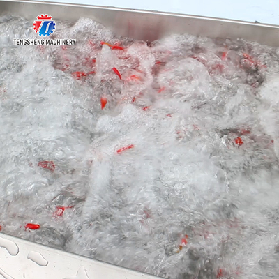 250KG Commercial fruit and vegetable brush cleaning machine air bubble cleaning machine multi-functional washing