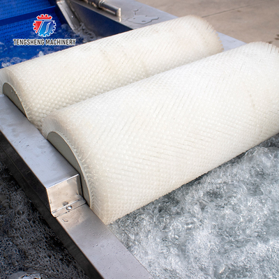 250KG The manufacturer provides a reversible air dryer for fruit ozone disinfection and fruit washing machine