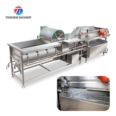 1000KG/H Double layer spray leaf vegetable cleaning machine large bubble eddy current vegetable cleaning machine