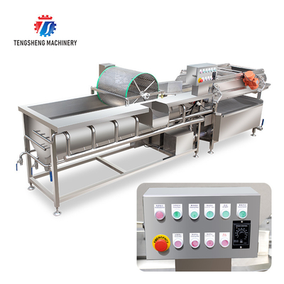 1000KG/H Supply of eddy current washing machine commercial fruit and vegetable washing machine drain spray vortex out