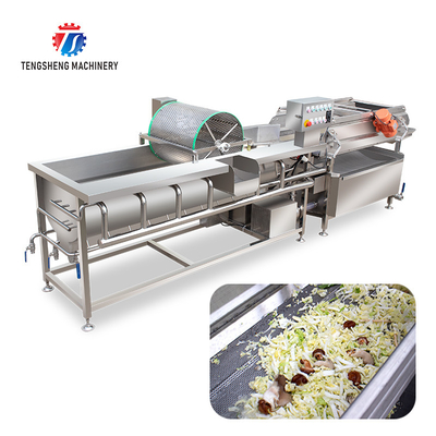 1000KG/H Large vegetables and fruits eddy current wave washing machine vegetable eddy current washing machine
