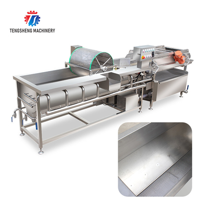 1000KG/H Supply of eddy current washing machine commercial fruit and vegetable washing machine drain spray vortex out