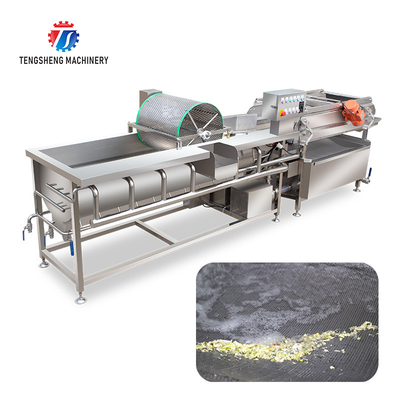 1000KG/H Double layer spray leaf vegetable cleaning machine large bubble eddy current vegetable cleaning machine
