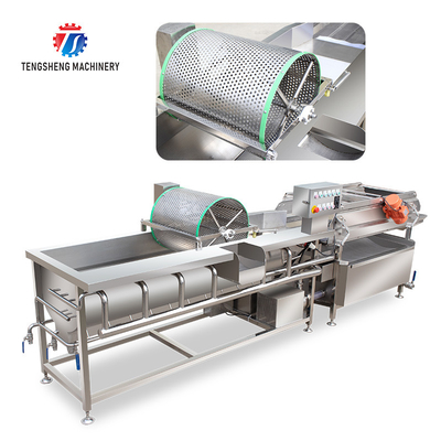 380V Eddy current water cleaning and draining machine stainless steel cleaning machine ginger washing machine