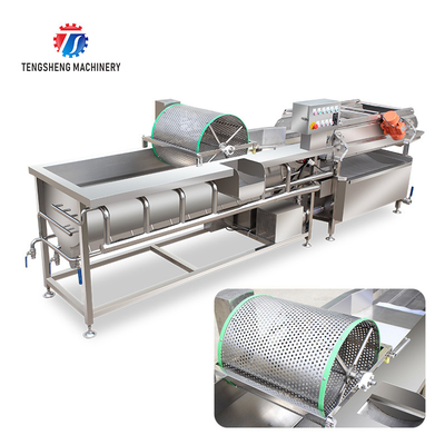 1000KG/H Large vegetables and fruits eddy current wave washing machine vegetable eddy current washing machine