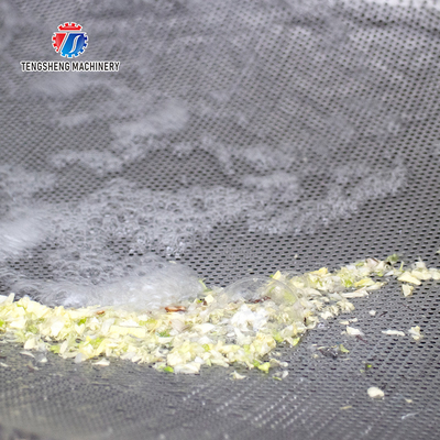 1000KG/H Double layer spray leaf vegetable cleaning machine large bubble eddy current vegetable cleaning machine