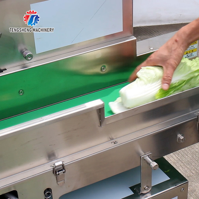 180KG Vegetable and melon slicing and slicing machine One machine multi-purpose automatic chopping machine