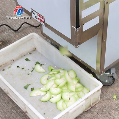 180KG Vegetable and melon slicing and slicing machine One machine multi-purpose automatic chopping machine