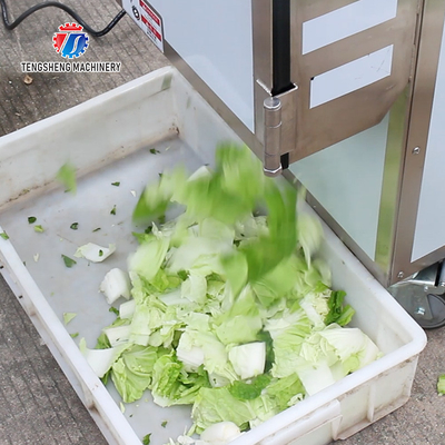 180KG Fruit and vegetable slicing and cutting machine for dining hall multi-functional cutting machine