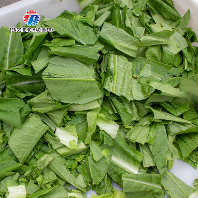180KG Vegetable slicer large widening conveyor belt vegetable slicer cucumber lemon leaves cut into sections