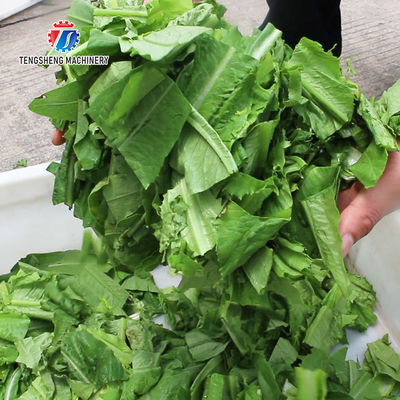 180KG Vegetable and melon slicing and slicing machine One machine multi-purpose automatic chopping machine
