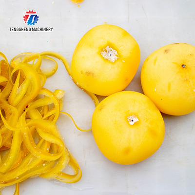220V Persimmon peeler large fruit peeler specifications a variety of stock
