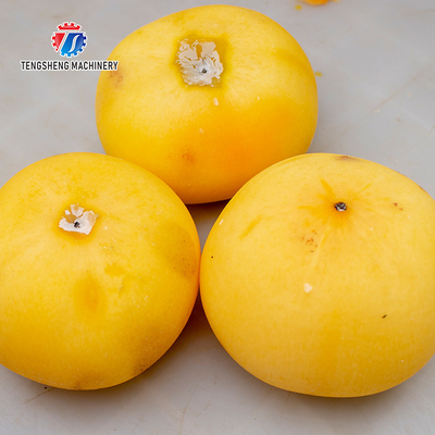 220V Persimmon Apple Potato Peeling Machine Automatic Vegetable Processing Machine