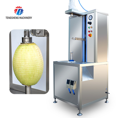 1.0KW 120KG  Watermelon Fruit And Vegetable Peeler Machine Industrial Electric Food Processor