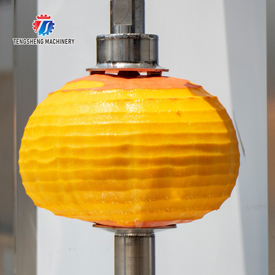 1.0KW 120KG Peeler jackfruit papaya pumpkin wax gourd peeler all kinds of fruit peeling machine