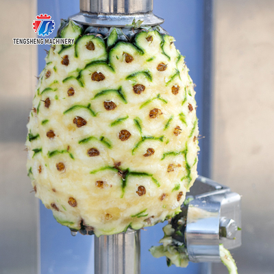 1.0KW 120KG All stainless steel fruit peeler Fruit peeler cantaloupe watermelon pumpkin wax gourd peel