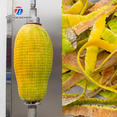 1.0KW 120KG  Watermelon Fruit And Vegetable Peeler Machine Industrial Electric Food Processor