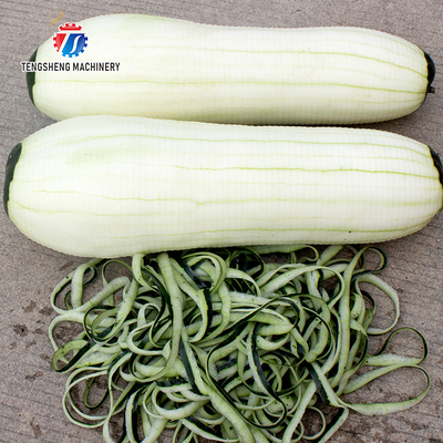 1.0KW 90KG White gourd and pumpkin peeler single head single knife peeler Fruit and vegetable peeler