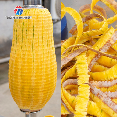 1.0KW 90KG White gourd and pumpkin peeler single head single knife peeler Fruit and vegetable peeler