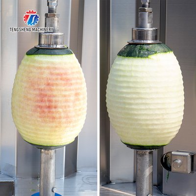 1.5KW 300KG Double head peeler commercial wax gourd pineapple peeler large fruit and vegetable peeler equipment