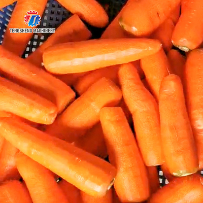 110KG Commercial red carrot paring machine mimicking manual paring knife paring type automatic peeling machine