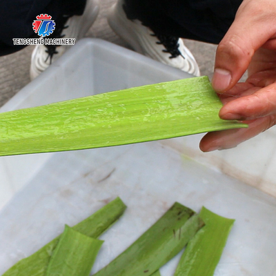 1500KG/H 429KG Aloe vera peeling machine cactus peeling processing peeling machine peeling machine