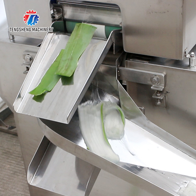 1500KG/H 429KG Aloe vera peeling machine cactus peeling processing peeling machine peeling machine