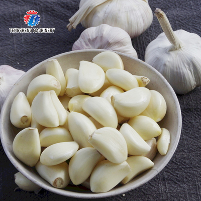 2.2KW Garlic Red Onion Peeling Machine Small Garlic Peeling Machine