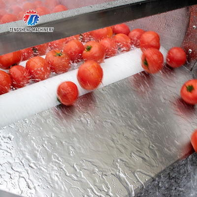 Vegetable Potato Parallel Hair Roller Cleaning Machine 1200kg/h