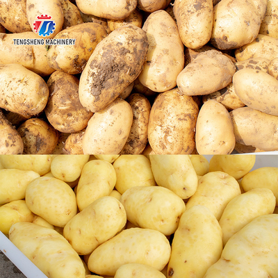 Tengsheng 3KW Potato Washing And Peeling Machine Potato Cleaning Isolation Filters