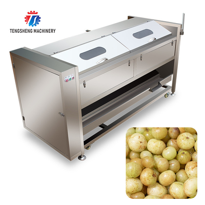 380KG Stainless steel roller cleaning machine, ginger, taro, lotus root, cleaning and peeling machine