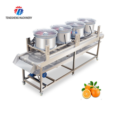 350KG Stainless steel fruit and vegetable processing air drying machine group production line