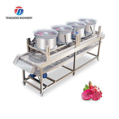 350KG Vegetable drain air drying machine stainless steel fruit and vegetable air drying complete equipment parallel type