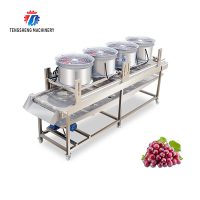 350KG Stainless steel fruit and vegetable processing air drying machine group production line