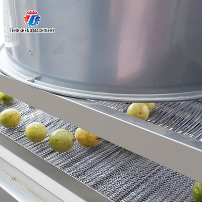 350KG Stainless steel fruit and vegetable processing air drying machine group production line
