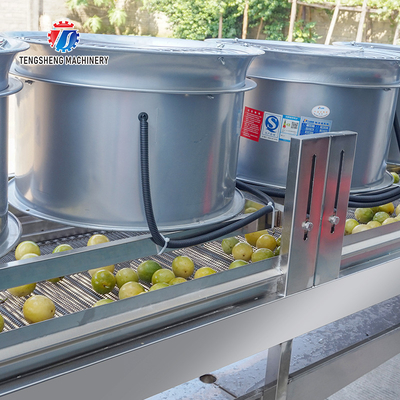 350KG Stainless steel fruit and vegetable processing air drying machine group production line