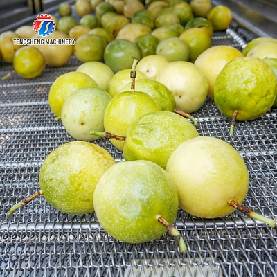 350KG Stainless steel fruit and vegetable processing air drying machine group production line