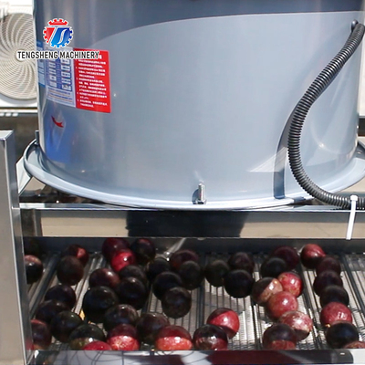350KG Stainless steel automatic step air drying machine vegetable air drying machine drain air drying machine