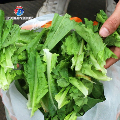30KG Leaf vegetable dehydrator commercial fruit and vegetable dehydrator small dehydrator