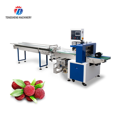 220V Double Frequency Converter Control Pillow Type Packing Machine