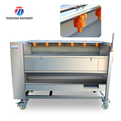 Factory direct with standard multi-functional fruit washing machine medium-sized lotus root washing radish machine